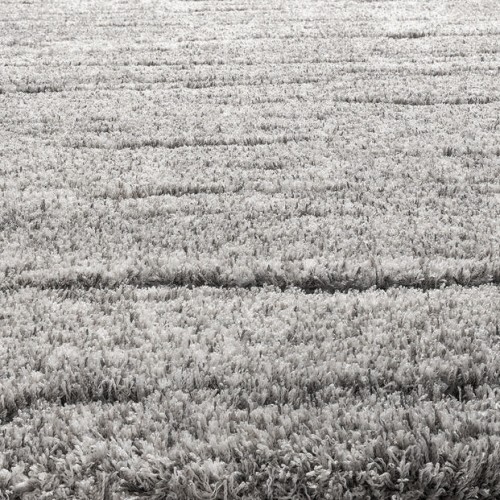 Χαλιά GoldShaggy Velvet PTS-58965-GR Γκρι 160X225cm