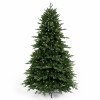 Christmas Tree Austria 210cm CHR-473-7F Christmas Tree Austria 210cm CHR-473-7F