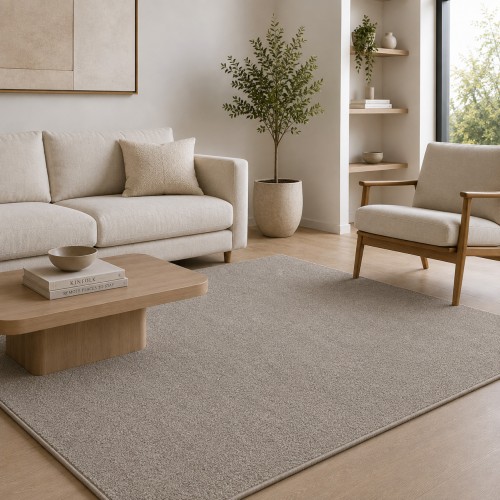 Γούνινο Χαλί Deluxe Μονόχρωμο Βιζόν PST004-VZ-240 240x300cm