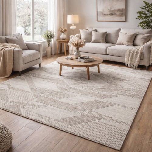 Χαλιά Delux 38929A-DBG 240X290cm Μπεζ