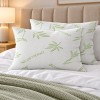 1 + 1 ΔΩΡΟ Μαξιλάρι ύπνου BAMBOO PL032 Μαλακό (50x70cm)