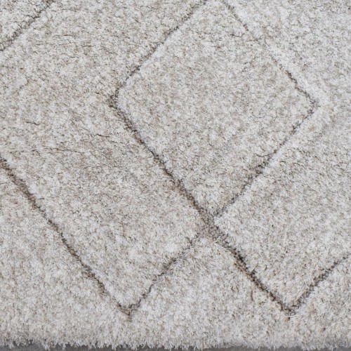 Χαλιά Shaggy Soft Touch PTS-115-160-VR40 Μπεζ 160X220cm